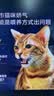 京东京造 冻干鸽子鲜肉猫粮4.5kg全价成猫奶糕幼猫无谷猫咪猫粮 实拍图