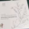 善草纪茶树三部曲面膜20片去角质黑头深层清洁控油泥膜 520礼物 实拍图