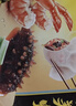 湾仔码头鲜美虾海参水饺400g24只早餐食品速食半成品面点饺子 实拍图