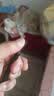 手工工具套装实验DIY多功能精密32合一24合一皮包款12合一螺丝刀起子手机电脑笔记本维修 工具盒25合一（塑料杆）颜色随机 实拍图
