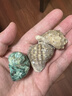 汉洋（HANYANG）贝壳鱼缸造景装饰摆件套餐水族箱底沙砂石天然海螺 实拍图