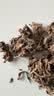 盛世得意云南普洱茶熟茶老茶头碎银子 秋冬喝 自己喝 伴手礼礼盒装送长辈 十年料 老茶头50g【单罐】 实拍图