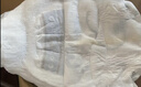 babycare皇室狮子王国皇冠LaLa裤试用装XL码-4片 实拍图