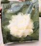 babycare爆款山茶花一次性内裤女孕产妇日抛出差旅行 L码30条【安全灭菌】 实拍图