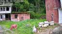 夜鹰威视AOV免充值太阳能监控器摄像头360度四画面旋转无死角手机远程室外高清夜视4G无电无网 26年新款【18倍变焦】五镜头四画面+终身免流量 实拍图