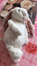 Jellycat害羞乳白色邦尼兔动物毛绒玩偶安抚玩偶娃娃送礼生日礼物 花布乳白色邦尼兔（白芮） Medium 实拍图