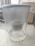 碧然德（BRITA）家用净水壶 滤水壶滤芯 MAXTRA+LE 去水垢专家滤芯 6枚装 实拍图