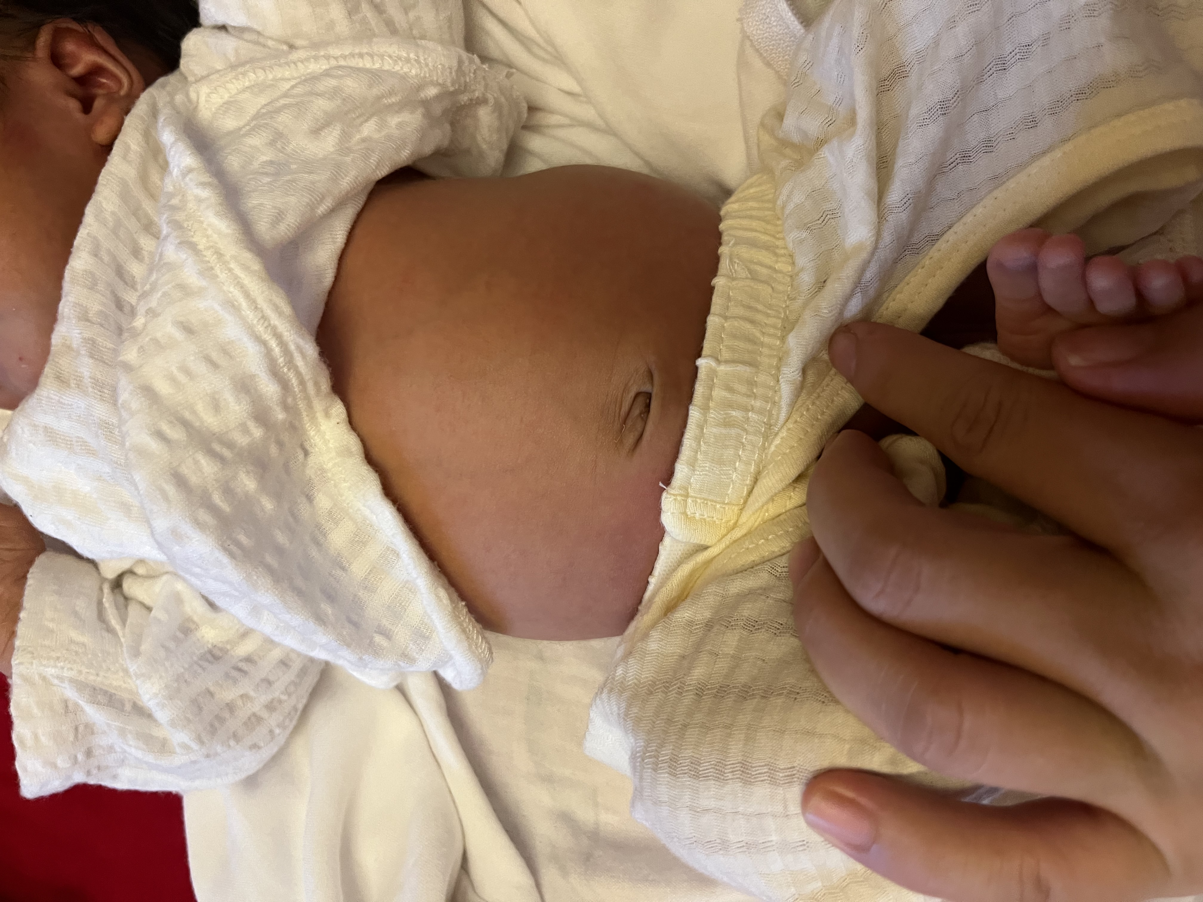 喜亲宝婴儿尿布宝宝10层纱布新生儿尿戒子可洗尿片大码46*17cm5条装 实拍图