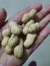 老街口 蒜香花生420g+奶香味花生420g 实拍图