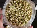 玉滋堂特级茉莉花茶花苞茶叶新花干花蕾花草茶养生茶3罐装 实拍图