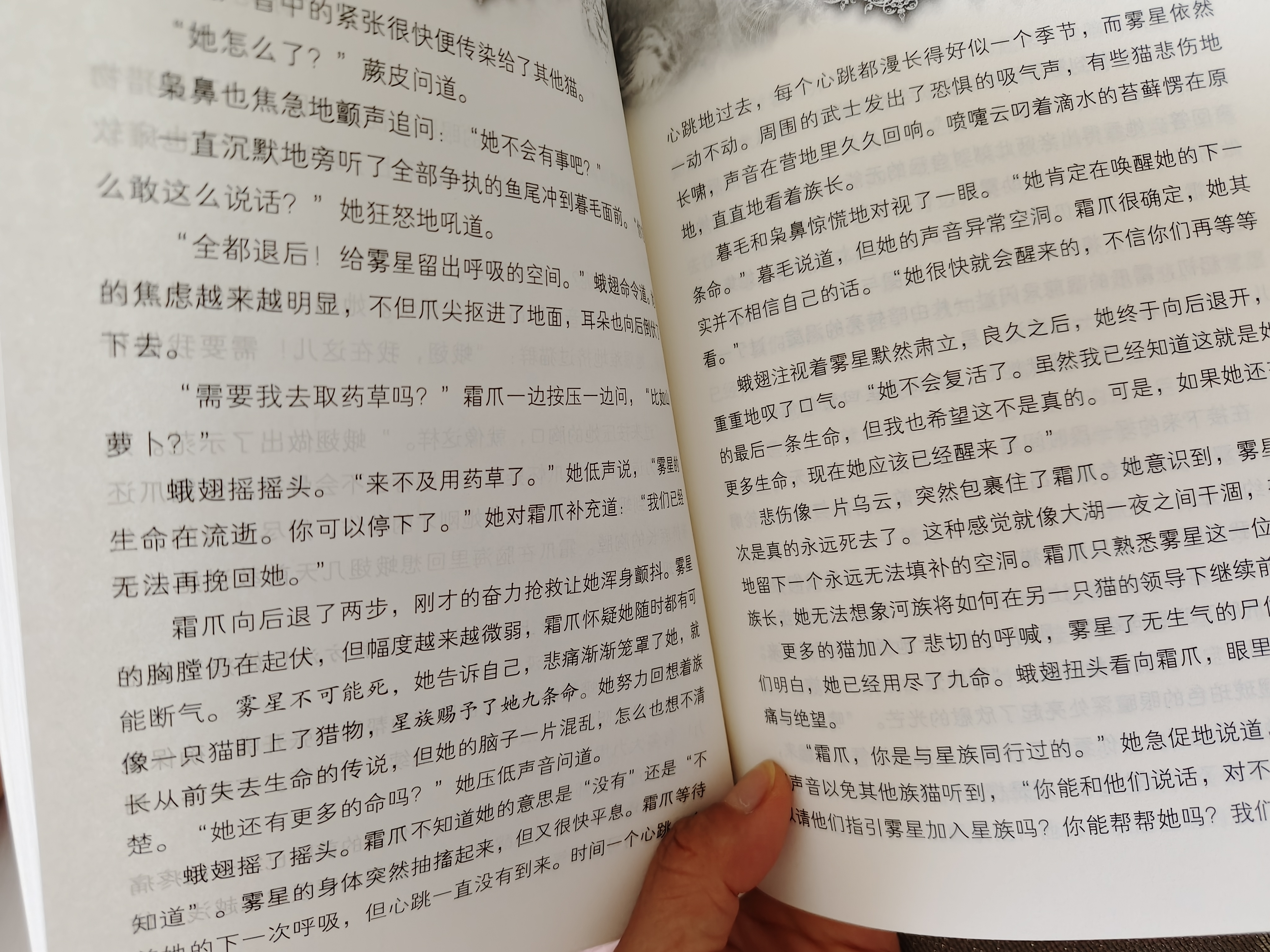 猫武士八部曲文创限定礼盒  中国版首次官方周边发布  猫武士中国版首次官方周边发布 内含八部曲图书6册 立牌 斗图贴纸 族群日历 巴掌书 学徒手册 书签  新年开出隐藏款 暑期阅读 课外推荐 实拍图