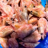 美加佳加拿大熟冻北极腹籽甜虾净重400g 35-50只   熟冻甜虾 聚餐 实拍图