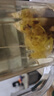 优卓【火爆款】西洋参黄芪菊花枸杞决明子菊花茶去火养生茶黄菊花 实拍图