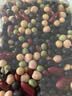 九月的诗有机豆浆豆1.7斤豆类组合打豆浆原料黑豆红豆黄豆高蛋白早餐代餐 实拍图