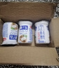 【网红甜品】椰子冻饮品布丁果味果冻 瓶装夏日休闲童年怀旧散装 椰子冻约65g*3瓶 实拍图
