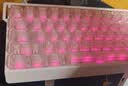 迈从（MCHOSE）Ace 68 V2磁轴键盘Gus同款RT电竞游戏低延迟60pro机械有线68键配列FPS双驱动无畏契约【教育优惠】 Ace 68 V2 超竞版雾透白 星环磁轴+RT键 实拍图