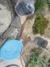 博赫尔（POHIR）高压洗车机家用220v高压水枪1500W清洗机强力洗地空调洗车泵水枪 实拍图