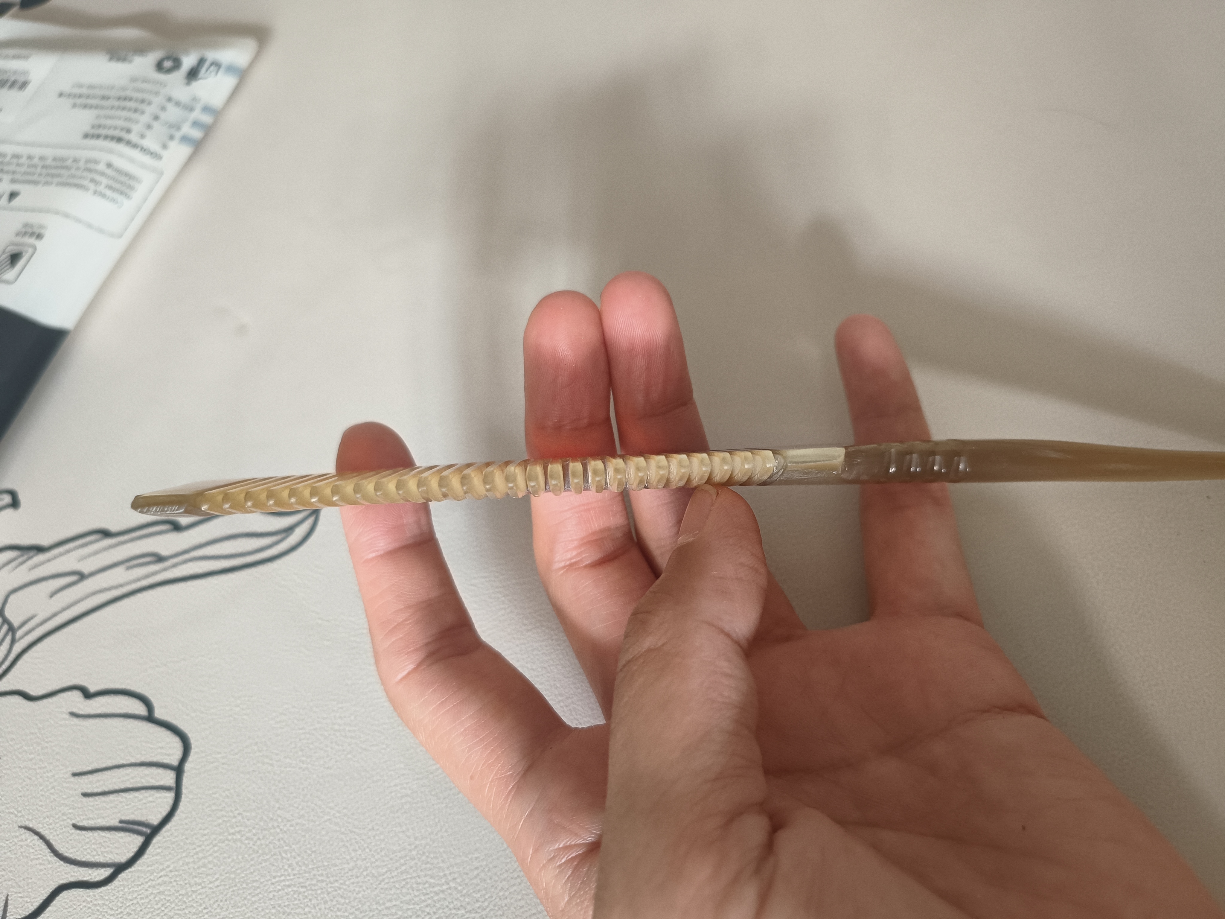 艾杰普（JEPPE）天然牛角梳分发梳子盘发梳挑梳防静电顺发不伤发送女友生日礼物 实拍图