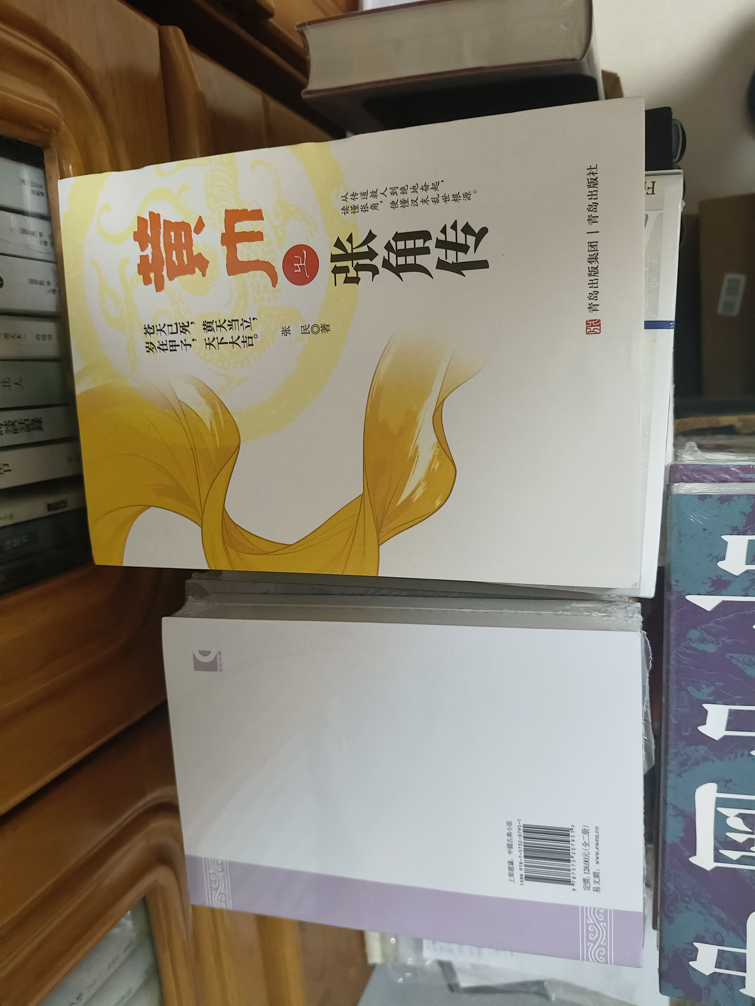 中国中古政治史论 理解中国历史与地缘政治的典范读本 实拍图