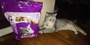 伟嘉猫粮成猫夹心粮 全价粮吞拿鱼1.3kg布偶蓝猫橘猫加菲英短猫咪 实拍图