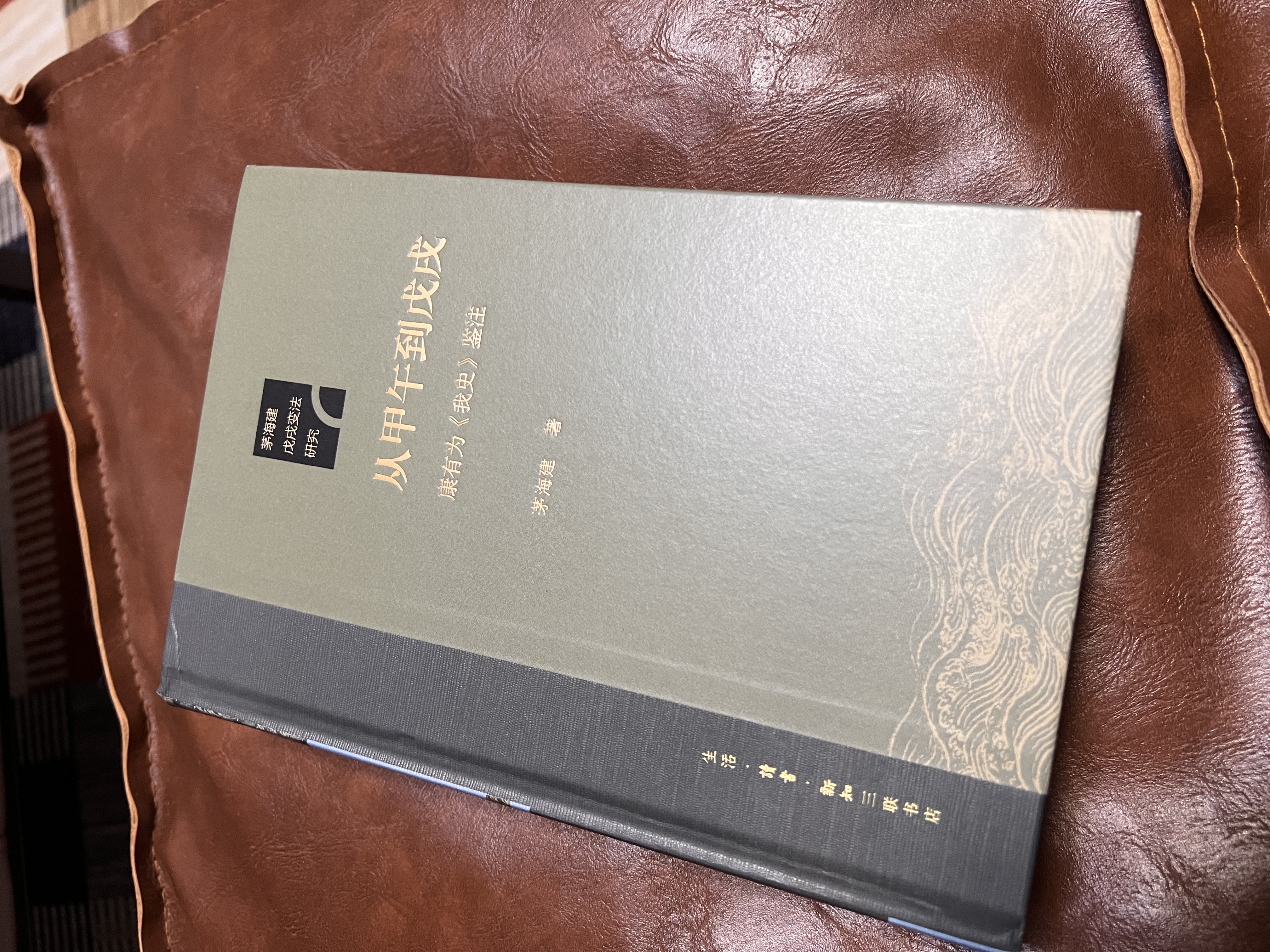 从甲午到戊戌：康有为《我史》鉴注 实拍图