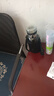 【送杯套】大容量加厚玻璃杯子便携杯茶水分离带杯套泡茶水杯 透明 1000ml吨吨桶 1只装 实拍图