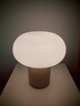 宜家（IKEA）SOLHETTA索海塔LED灯泡大螺口小螺口插脚灯具配件实用 E27球形可调光806流明2700k螺口 实拍图