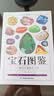宝石图鉴+矿物与岩石图鉴（全2册） 实拍图