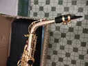 塞德森（SAIDESEN） 萨克斯 降E调中音萨克斯风/管乐器 双笛头配置 初学考级专业演奏 磷铜款SAS-750 实拍图