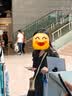 优衣库棉质提花V领衬衫短袖女装衬衣483881 09 黑色 M 实拍图