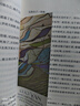 蛙 莫言 修订升级版 莫言作品集 茅盾文学奖获奖作品诺贝尔文学奖 莫言小说作品全集 现当代文学随笔 实拍图