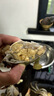 【活蟹】掌昕鲜三门青蟹 全母蟹（6-7两/只）3只 生鲜活螃蟹海鲜水产送礼品盒 源头直发 实拍图