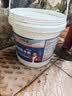 沃特浦防水涂料耐高温防晒补漏防水胶楼顶屋顶房顶漏水补漏王防漏水白色 实拍图