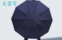 天堂伞 双人雨伞三折 雨伞加大加固三折雨伞全钢十骨大伞 岩石蓝 实拍图