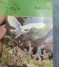 军旅系列（套装共4册）沈石溪动物小说小学生课外阅读故事书 暑期阅读   省钱卡 实拍图