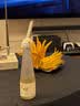 临雅佛手柑水养绿植水培植物佛手瓜室内盆栽插花A+级大果2颗源头直发 实拍图
