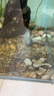 瓦克（WACKER）121大型鱼缸胶水族馆玻璃胶水族箱密封胶防霉防水速干型透明色 实拍图