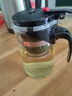 飘逸壶泡茶壶耐热高温玻璃沏茶过滤内胆冲茶器家用茶具套装 飘逸杯500mL1个 实拍图