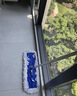 美家日记平板拖把 商用大号尘推110cm共1布 棉线帆布干湿两用瓷砖吸水棉纱 实拍图