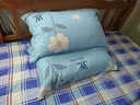 南极人全棉枕套48x74cm一对家用纯棉高级高支高密斜纹枕头套单人枕芯套 水墨嫣然【48x74cm/一对装】 实拍图