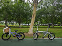 大行（DAHON）折叠自行车14英寸超轻迷你便携小轮男女式单车BYA412  银色 实拍图
