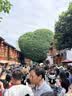 babycare儿童餐具礼盒PPSU注水保温碗叉勺宝宝学食吃饭西高地粉儿童节礼物 实拍图