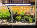 漫德莱水管软管 花园浇花浇水自来水软管家用洗车高压pvc塑料管4分10米 实拍图