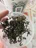 养益君绞股蓝125g 深山七叶绞股蓝胶股蓝嫩叶 实拍图