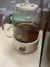 OIDIRE 德国 全玻璃养生壶 花茶壶无胶水煮茶壶 煮茶器办公室恒温养生壶烧水壶电热水壶炖煮智能保温 1L 基础款 | 保温40-90度可调 实拍图