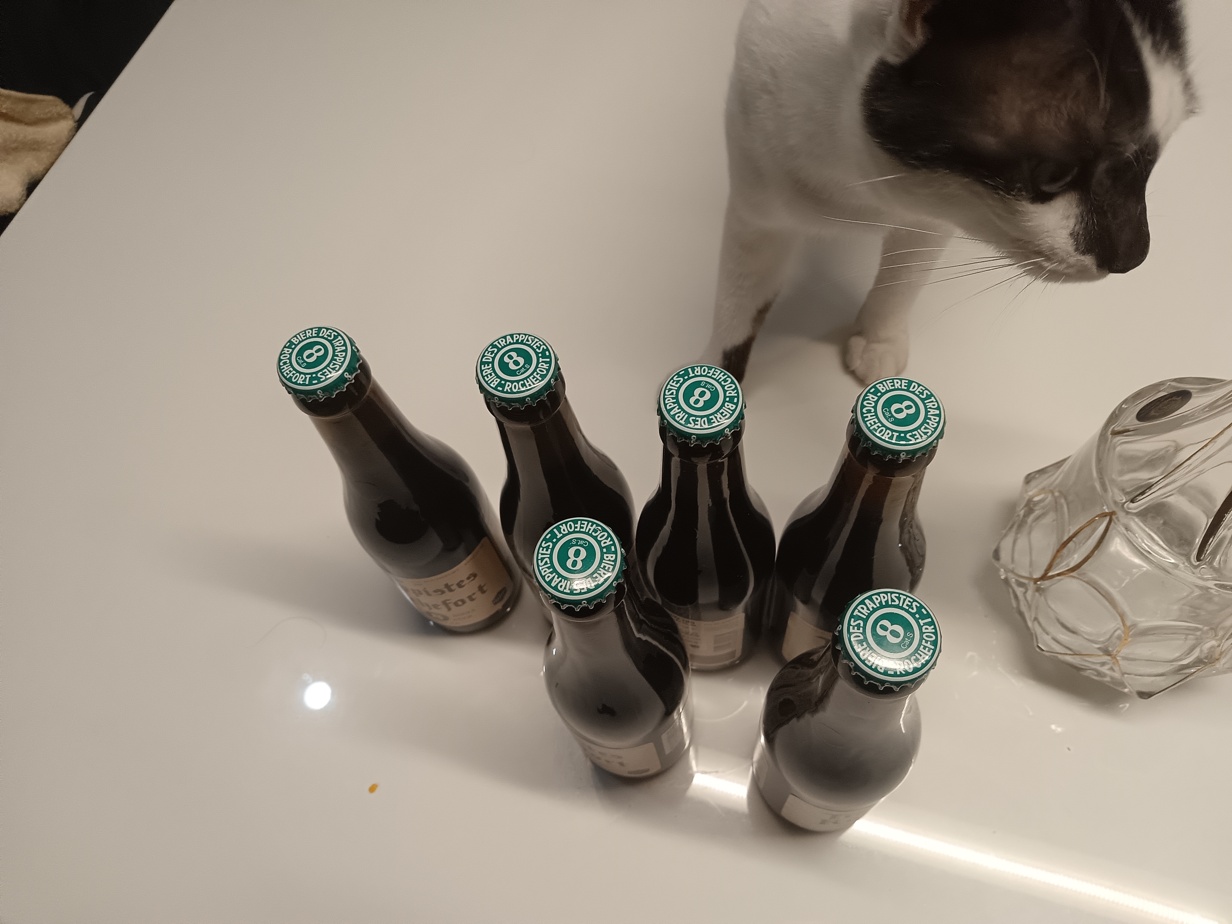 TRAPPISTES ROCHEFORT罗斯福8号啤酒330ml*6瓶  比利时进口 修道院精酿 京东自营 实拍图
