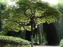 松下（Panasonic）Lumix G100D M43画幅相机 M43卡口 微单相机 无反数码相机 G100D单机+【25mmF1.7】单镜头定焦 实拍图