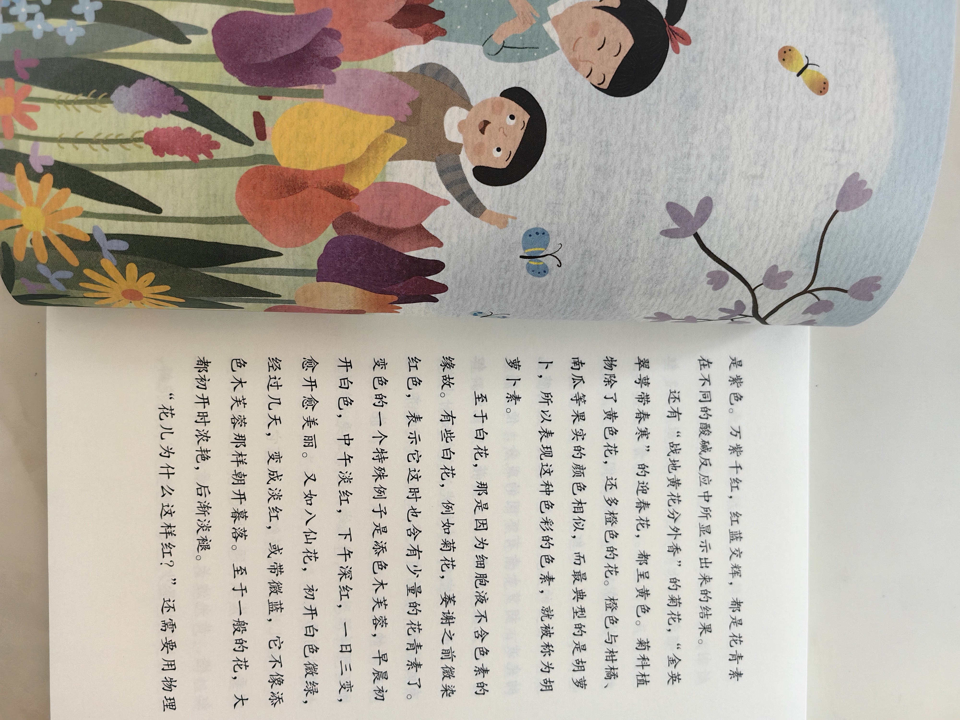 灰尘的旅行 人教版快乐读书吧四年级下册 曹文轩、陈先云主编 语文教科书配套书目 实拍图