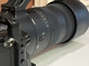 适马（SIGMA）70-200mm F2.8 DG DN OS | Sports 全画幅微单 恒定大光圈变焦镜头70200（索尼E卡口） 实拍图