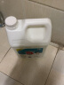滴畅 84消毒液5L*4桶大桶装家用商用消毒水衣物漂白洁厕含氯抑菌环境 实拍图